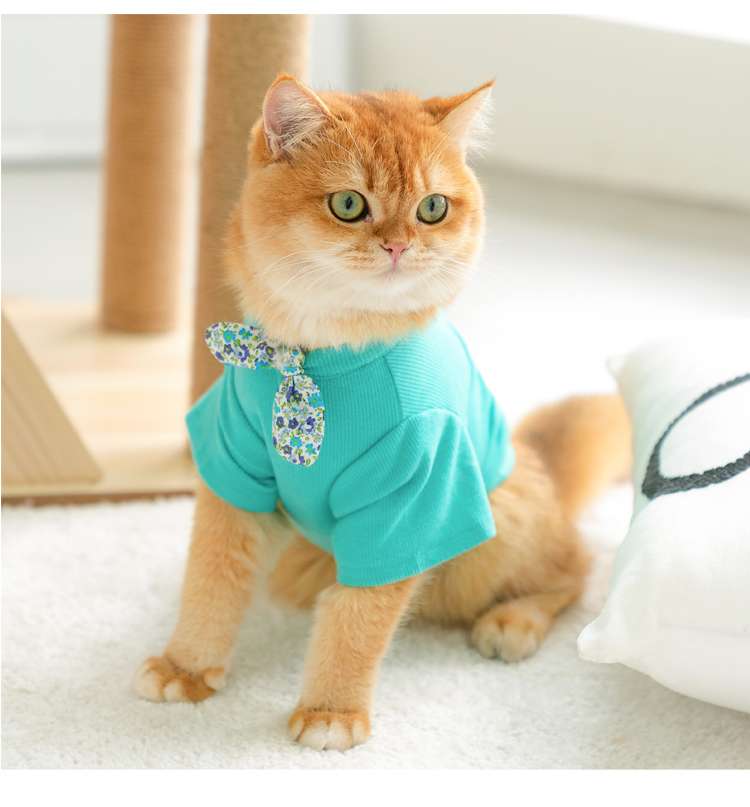 猫服 防寒服 | ふわもこ猫ちゃんのおしゃれセーター