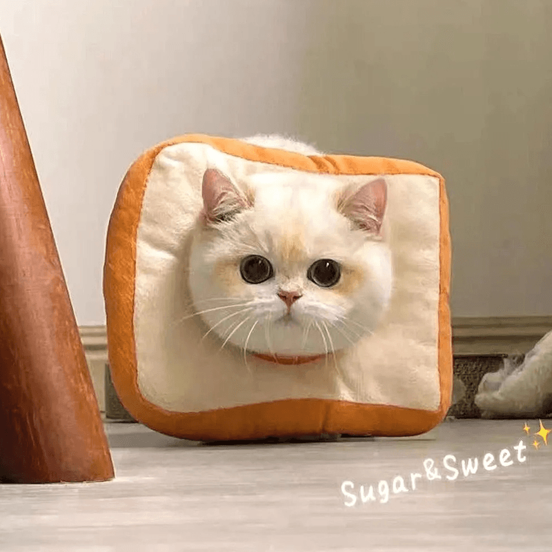 猫服 猫 エリザベスカラー | もふもふ食パンねこ帽子