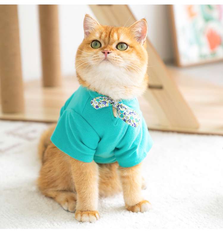 猫服 防寒服 | ふわもこ猫ちゃんのおしゃれセーター