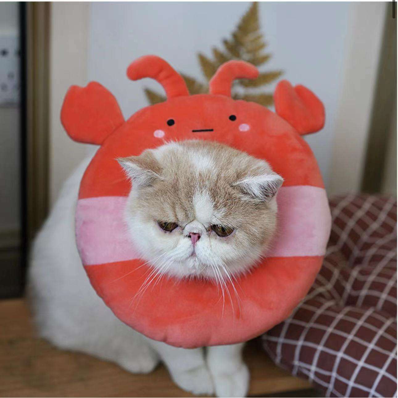 猫服 猫 エリザベスカラー | かわいい動物型メッシュエリザベスカラー