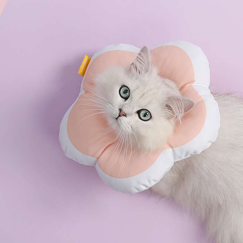 猫服 猫 エリザベスカラー | お花型ふわもこエリザベスカラー