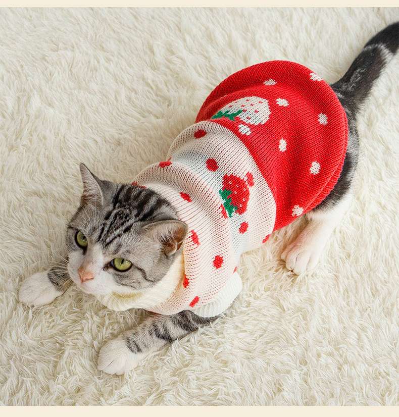 猫服 防寒服 | ペット用クリスマスセーター