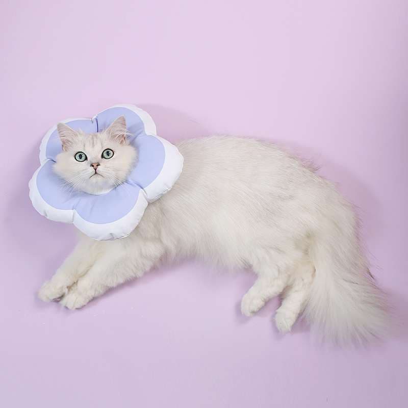猫服 猫 エリザベスカラー | お花型ふわもこエリザベスカラー