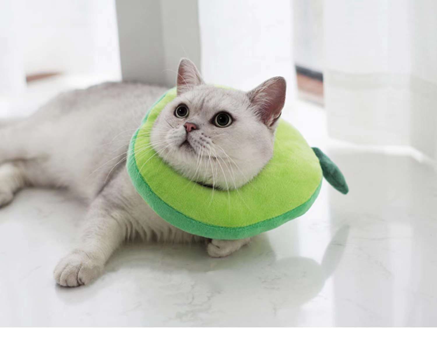 猫服 猫 エリザベスカラー | かわいい動物型メッシュエリザベスカラー