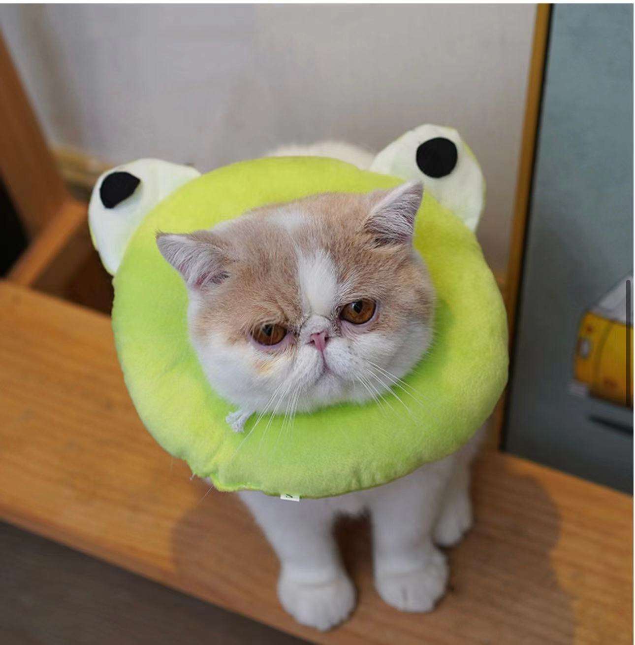 猫服 猫 エリザベスカラー | かわいい動物型メッシュエリザベスカラー