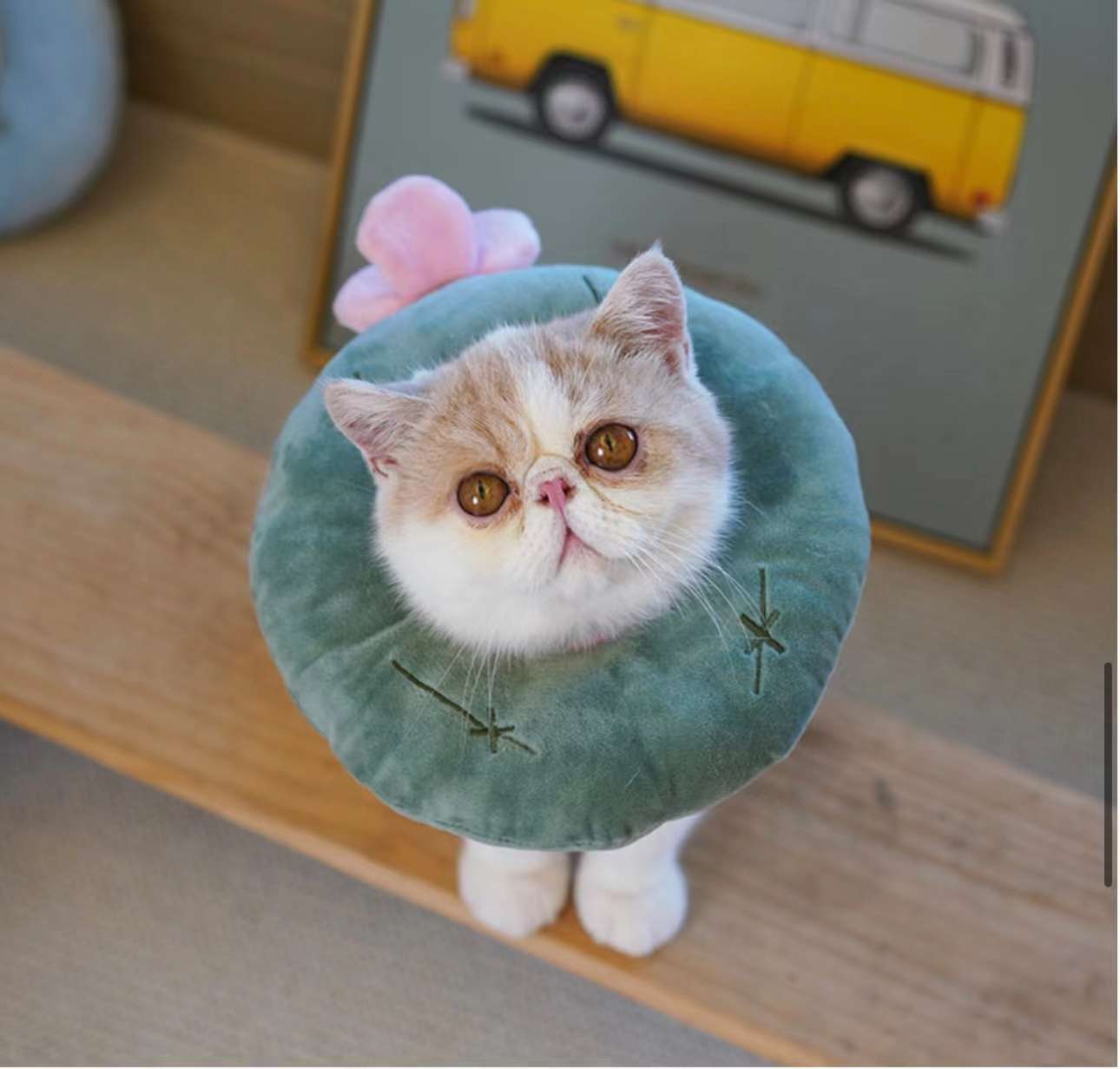 猫服 猫 エリザベスカラー | かわいい動物型メッシュエリザベスカラー