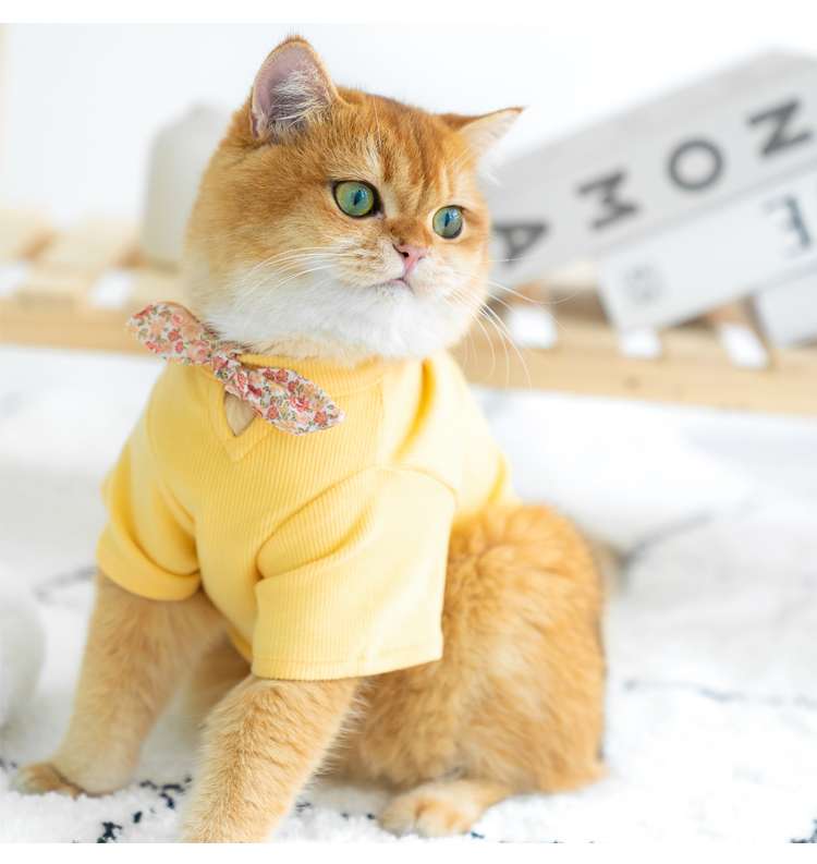 猫服 防寒服 | ふわもこ猫ちゃんのおしゃれセーター
