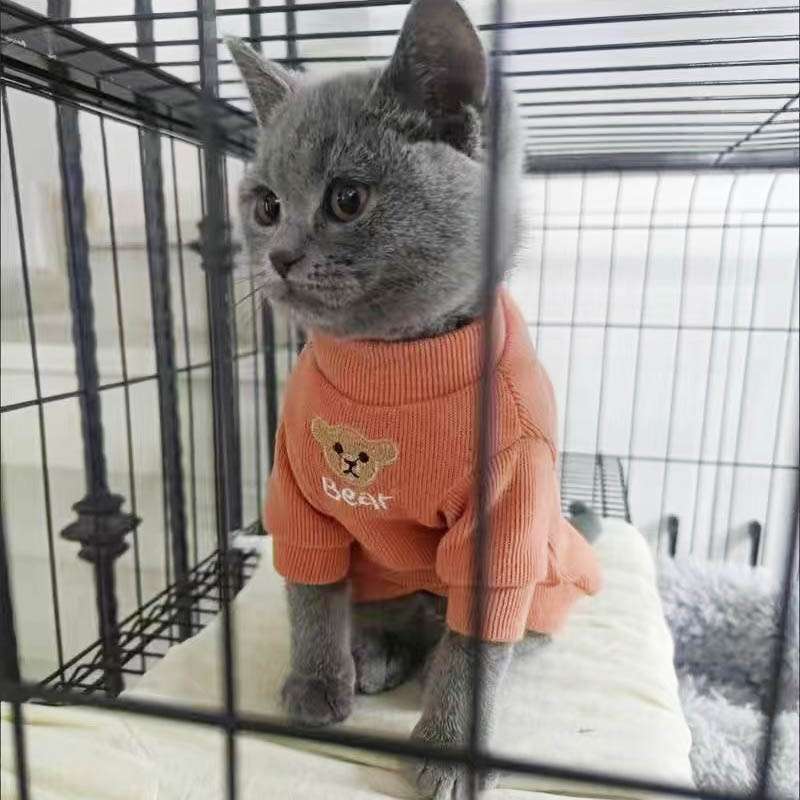 猫服 くま刺繍入りニット長袖猫用防寒着