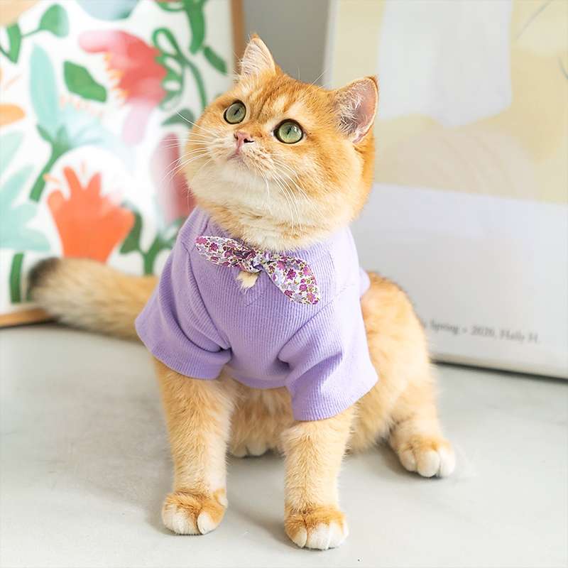 猫服 防寒服 | ふわもこ猫ちゃんのおしゃれセーター