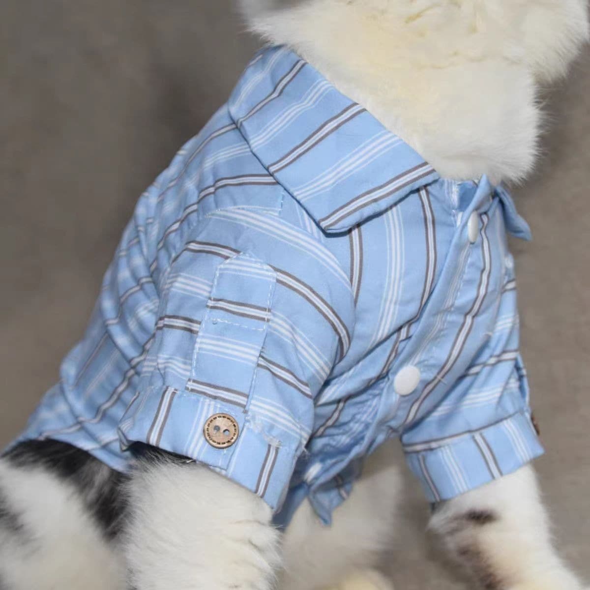 猫服 猫用紳士風ストライプ柄ビジネスシャツ