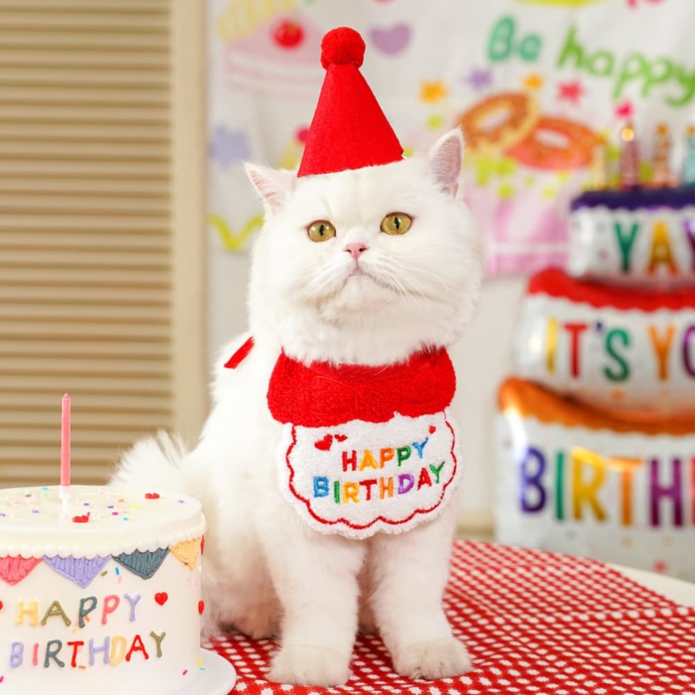 猫服 お誕生日お祝い猫ちゃん帽子セット