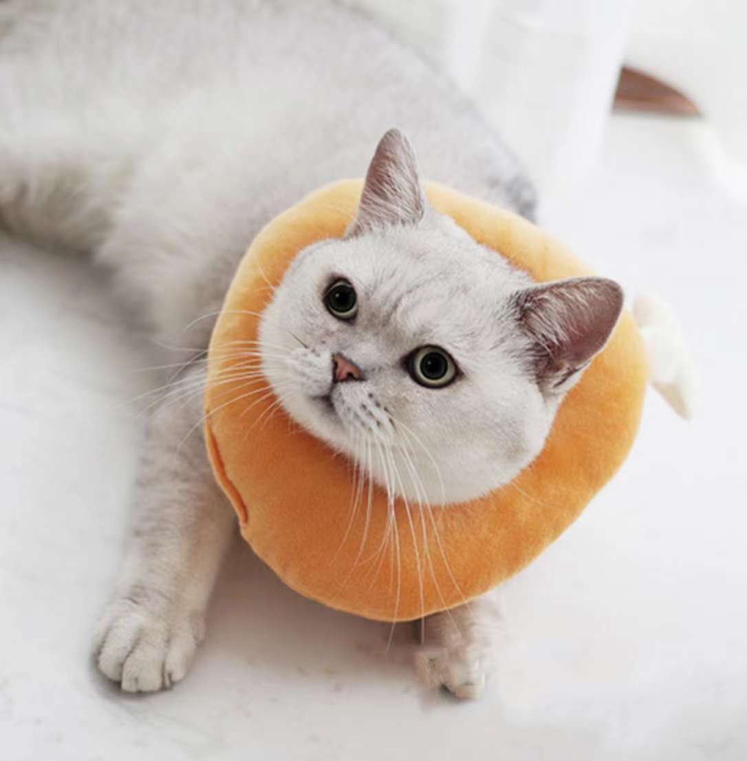 猫服 猫 エリザベスカラー | かわいい動物型メッシュエリザベスカラー