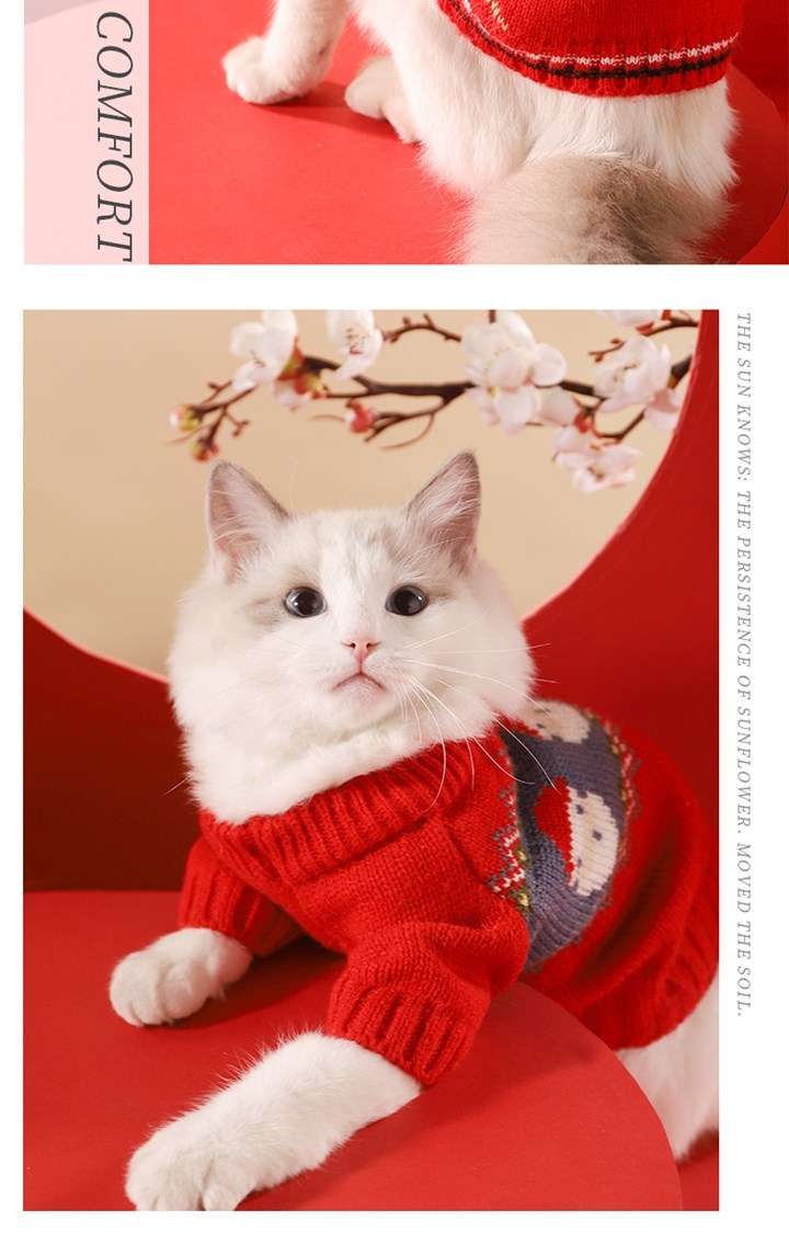 猫服 防寒服 | 招福ニャンコの縁起良し年賀ニットウェア