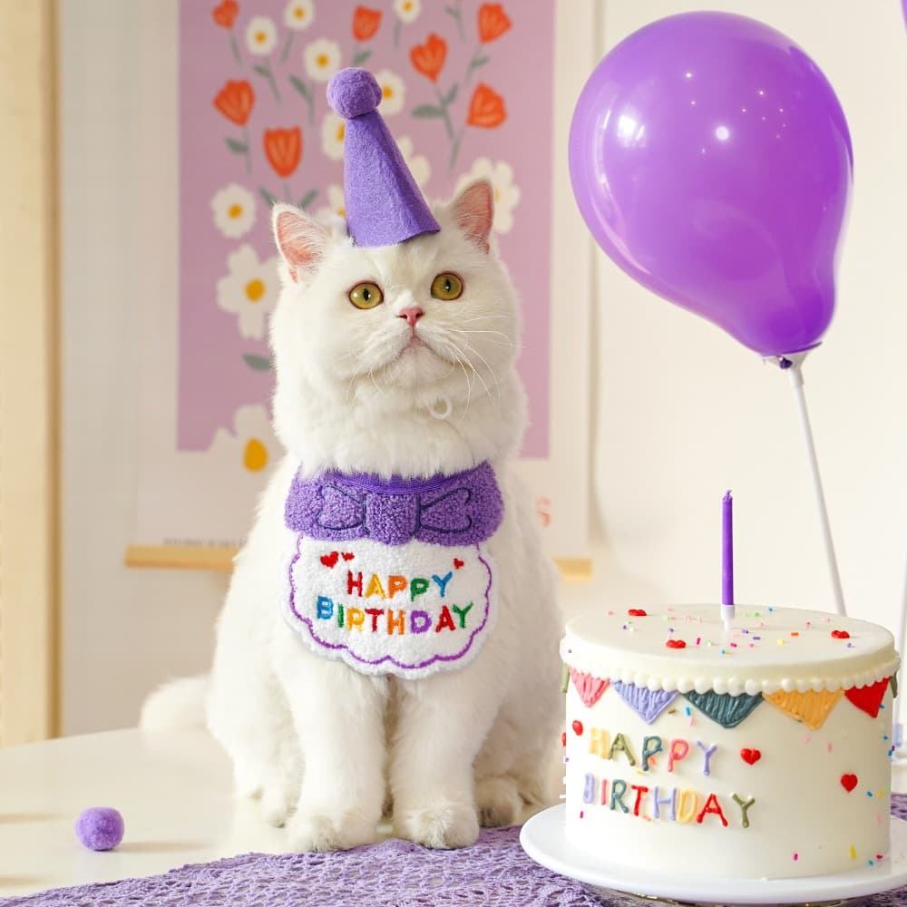猫服 お誕生日お祝い猫ちゃん帽子セット