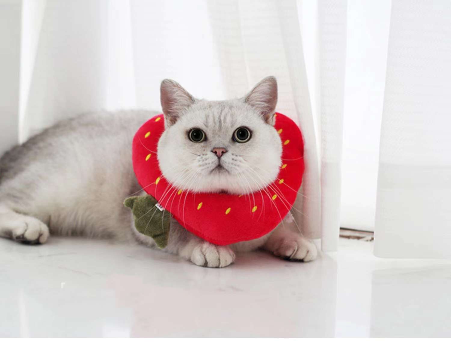 猫服 猫 エリザベスカラー | かわいい動物型メッシュエリザベスカラー