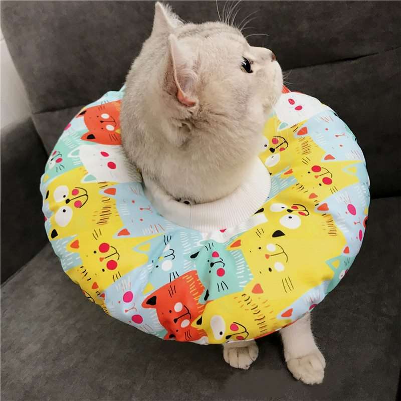 猫服 猫 エリザベスカラー | ふわもこペット用エリザベスカラー