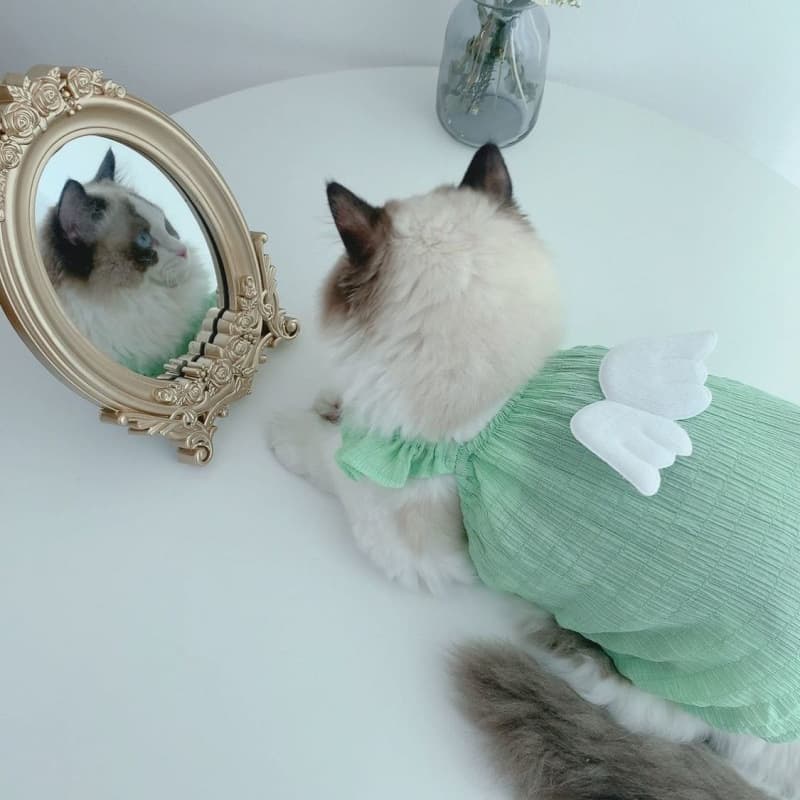 猫服 ふんわり天使の羽根ギャザーワンピース