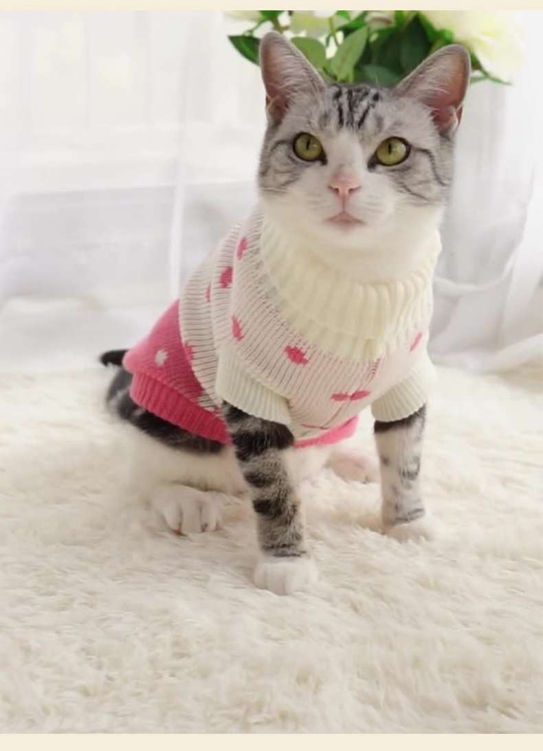 猫服 防寒服 | ペット用クリスマスセーター
