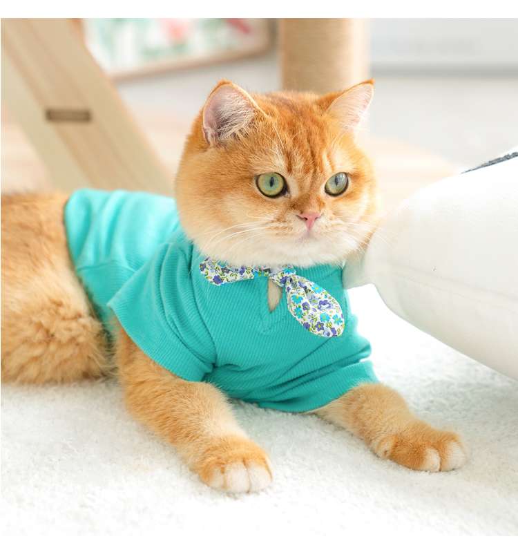 猫服 防寒服 | ふわもこ猫ちゃんのおしゃれセーター
