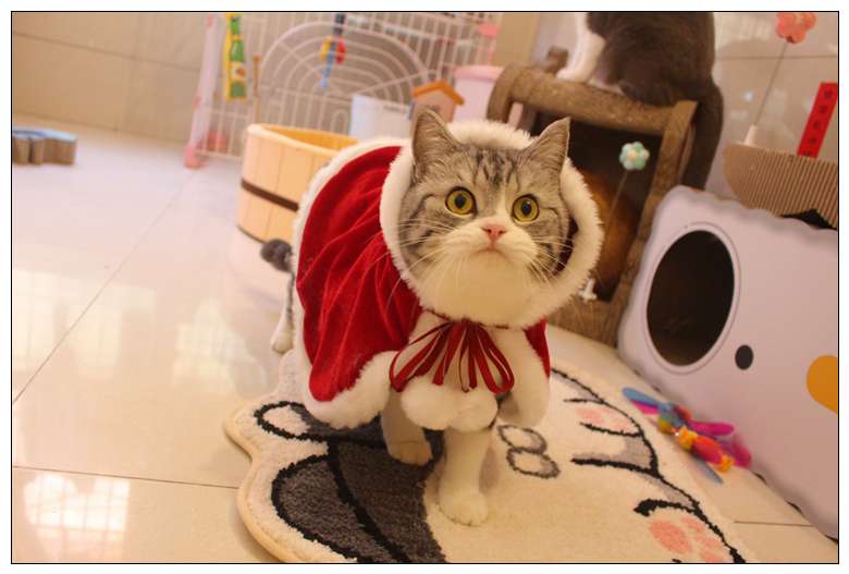 猫服 コスプレ | もふもふサンタクロース猫コスチューム