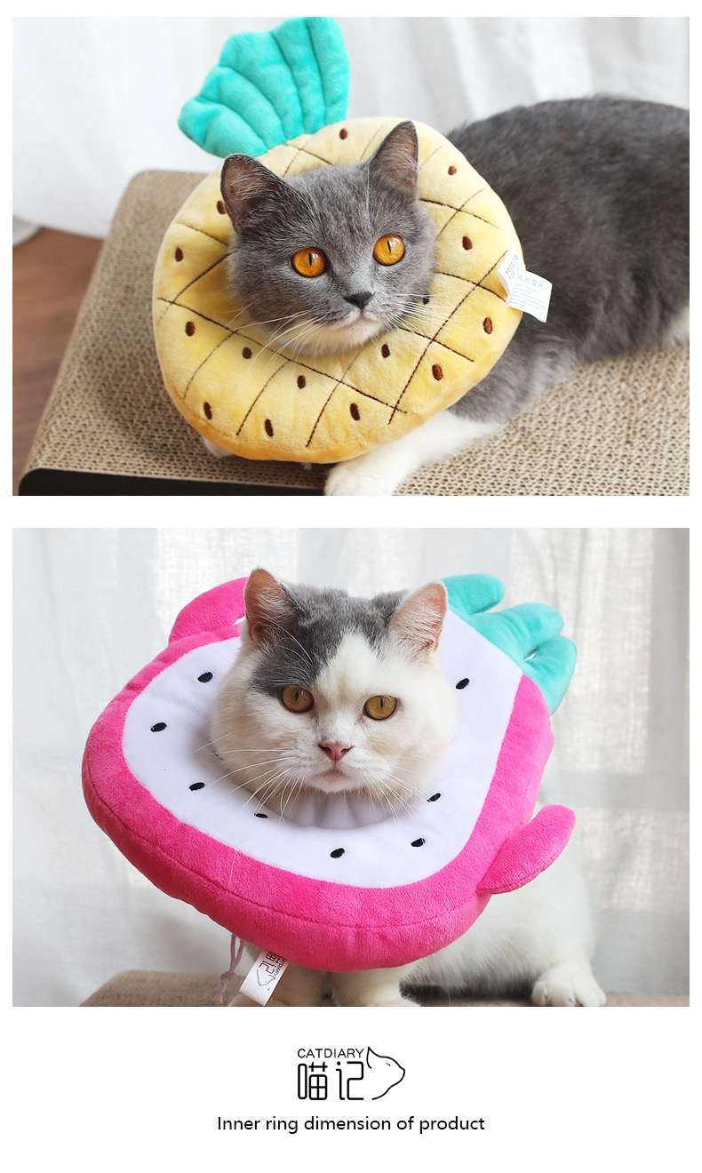 猫服 猫 エリザベスカラー | フルーツ猫カラー 癒しのトロピカルコレクション