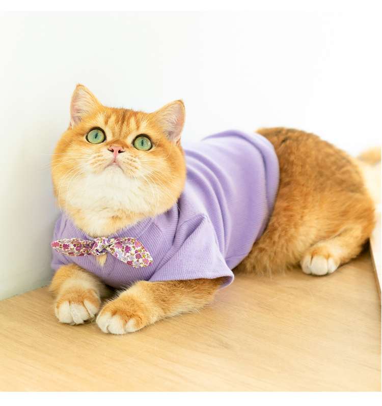 猫服 防寒服 | ふわもこ猫ちゃんのおしゃれセーター