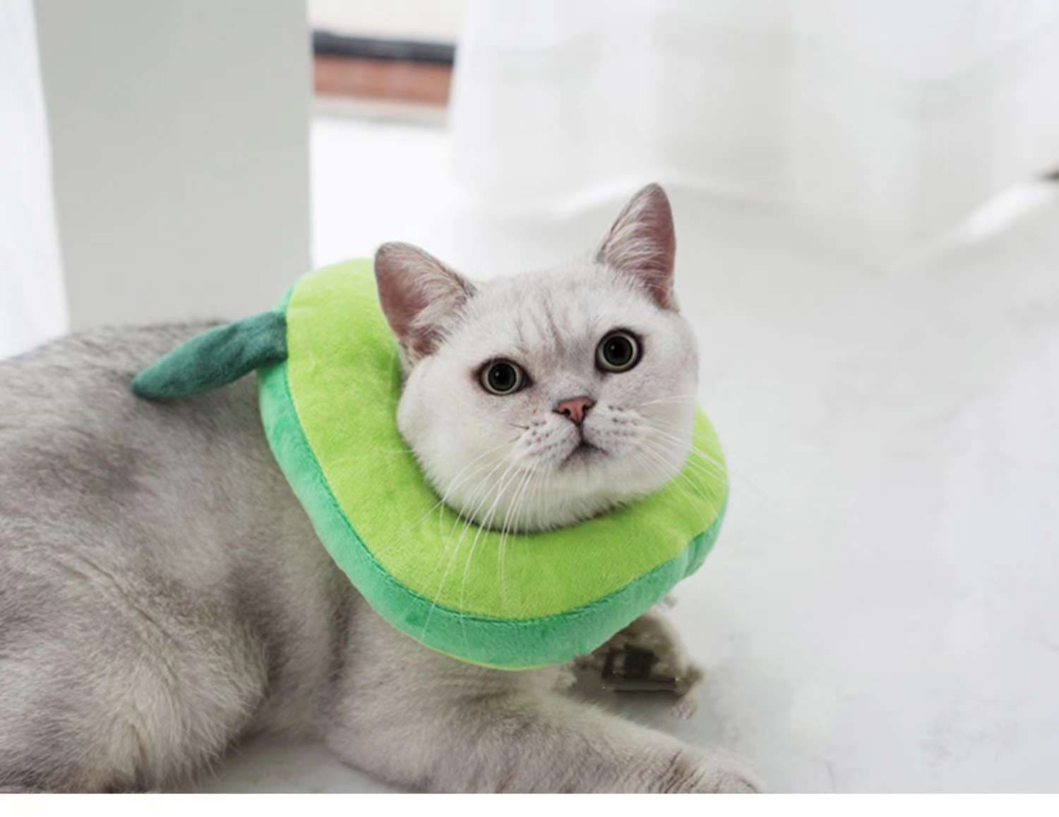 猫服 猫 エリザベスカラー | かわいい動物型メッシュエリザベスカラー