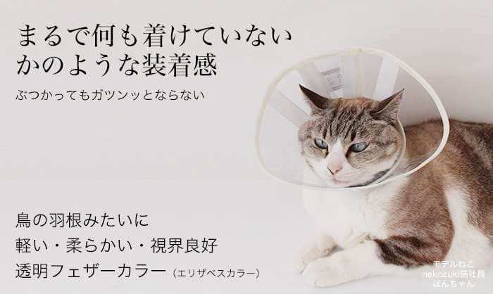 猫服 猫 エリザベスカラー | 愛猫用エリザベスカラー
