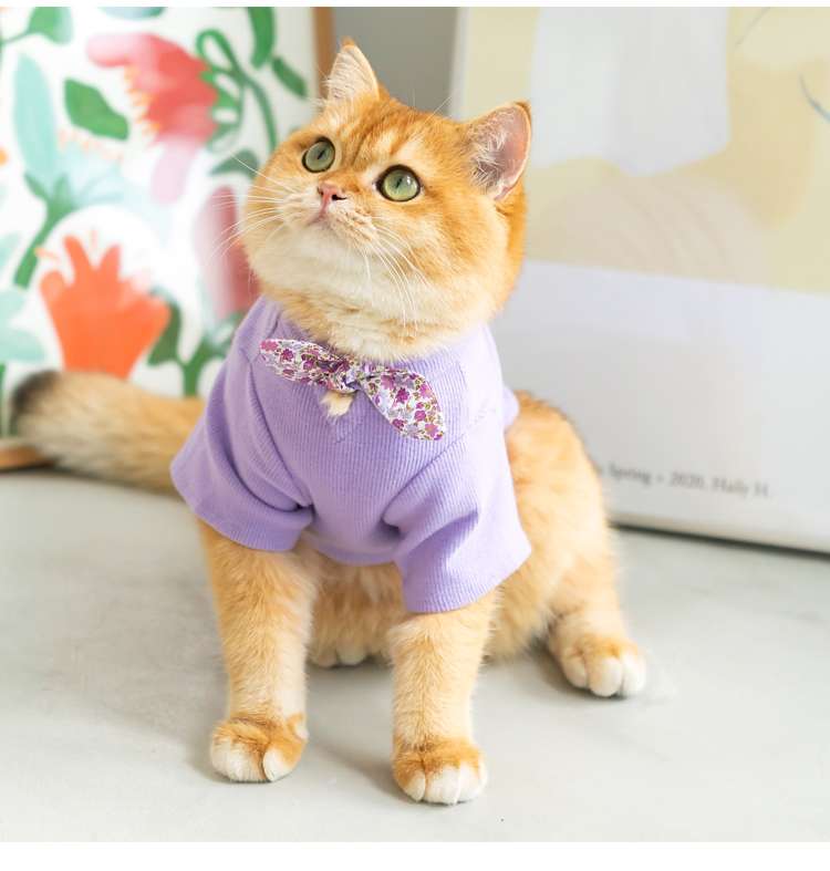 猫服 防寒服 | ふわもこ猫ちゃんのおしゃれセーター