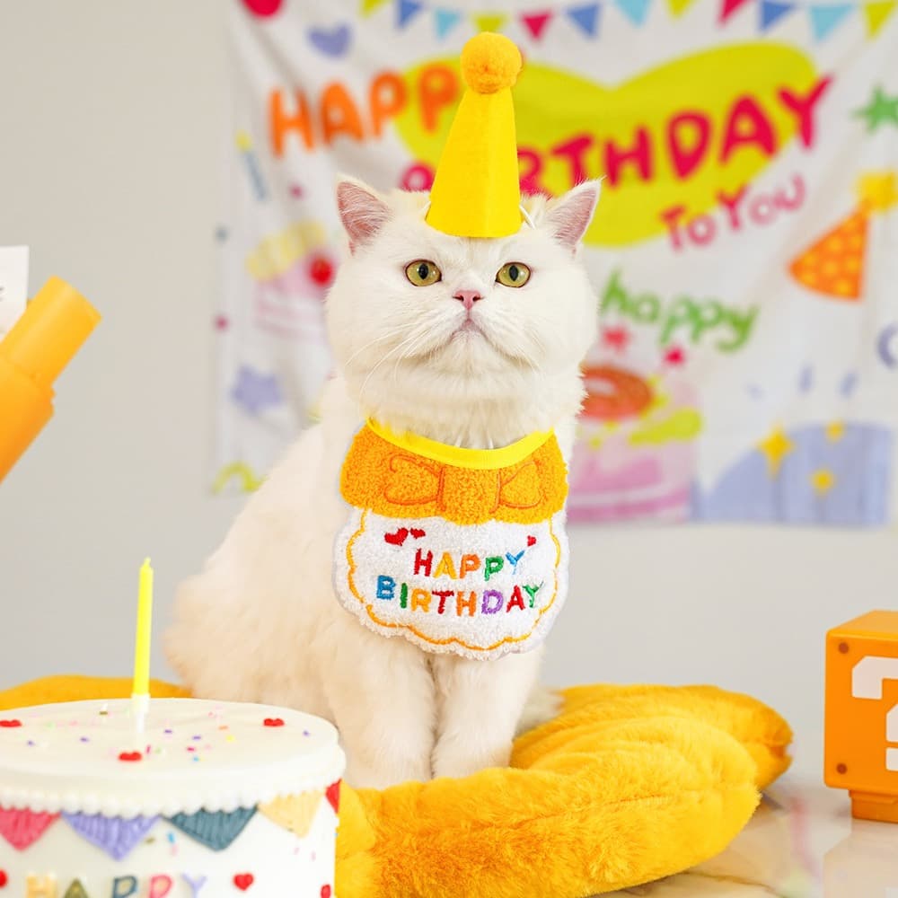 猫服 お誕生日お祝い猫ちゃん帽子セット
