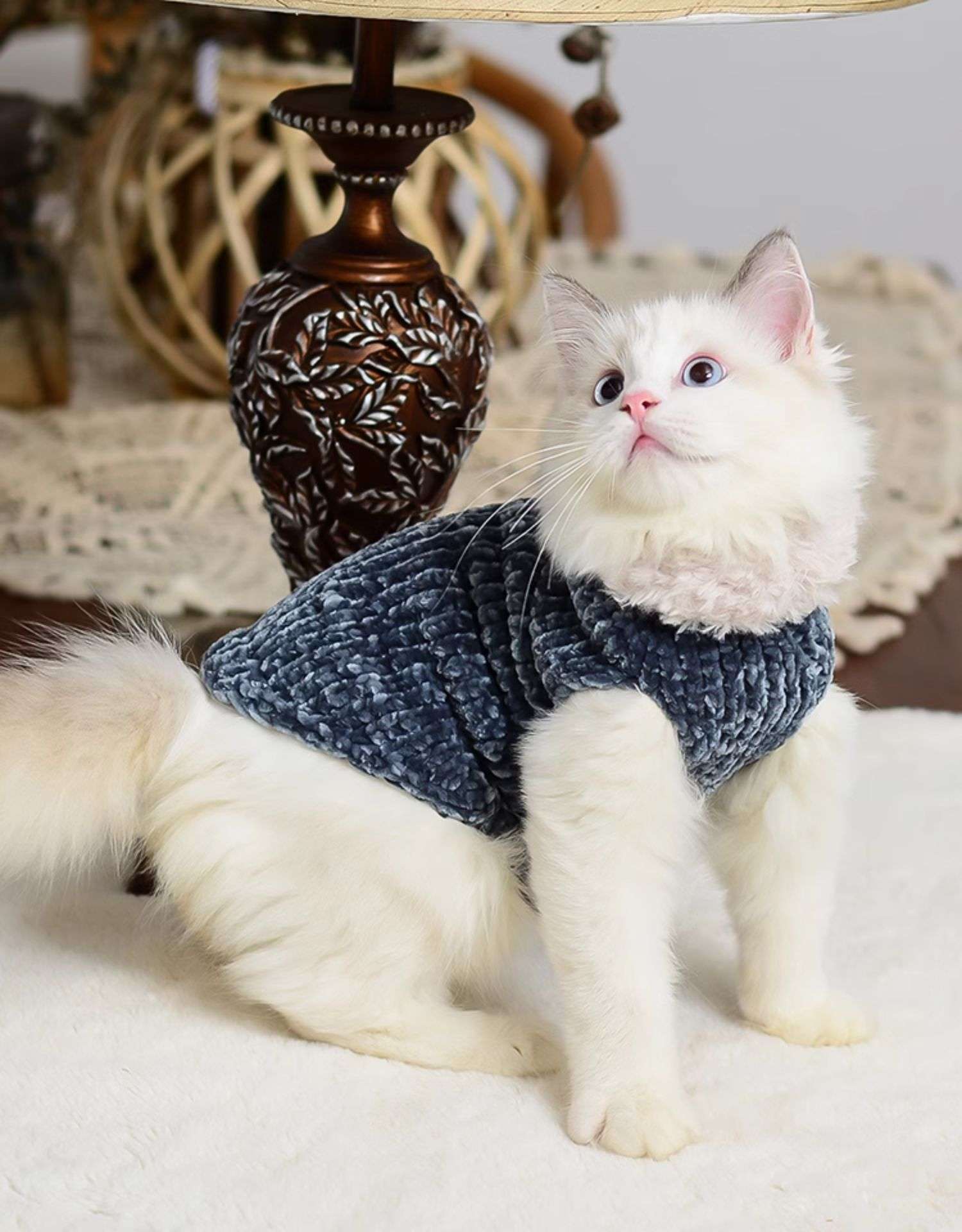 猫服 スフィンクス | ふわもこスフィンクスの防寒ニット