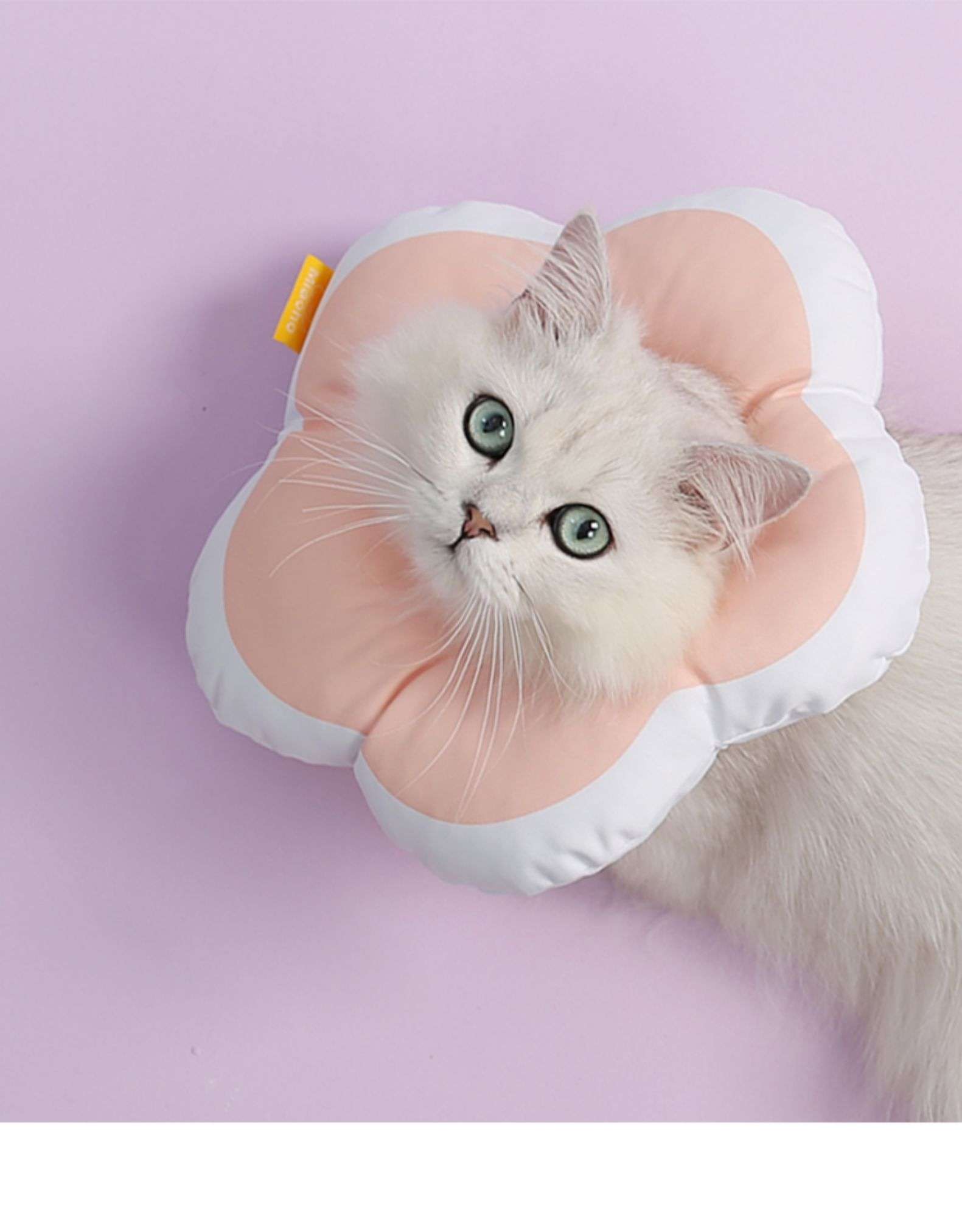 猫服 猫 エリザベスカラー | お花型ふわもこエリザベスカラー
