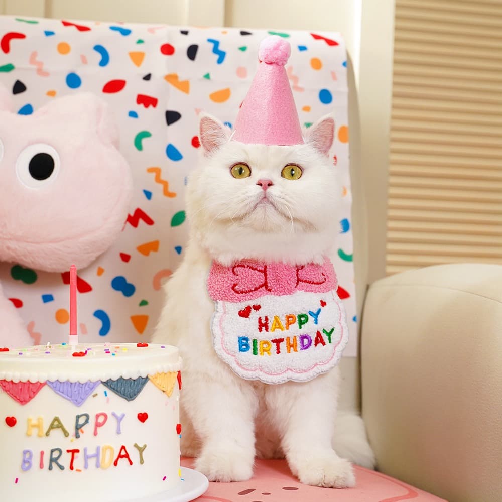 猫服 お誕生日お祝い猫ちゃん帽子セット