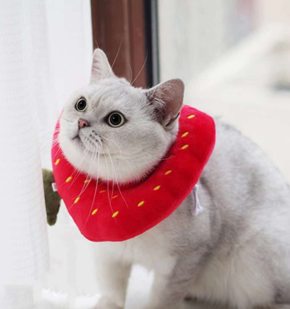 猫服 猫 エリザベスカラー | かわいい動物型メッシュエリザベスカラー