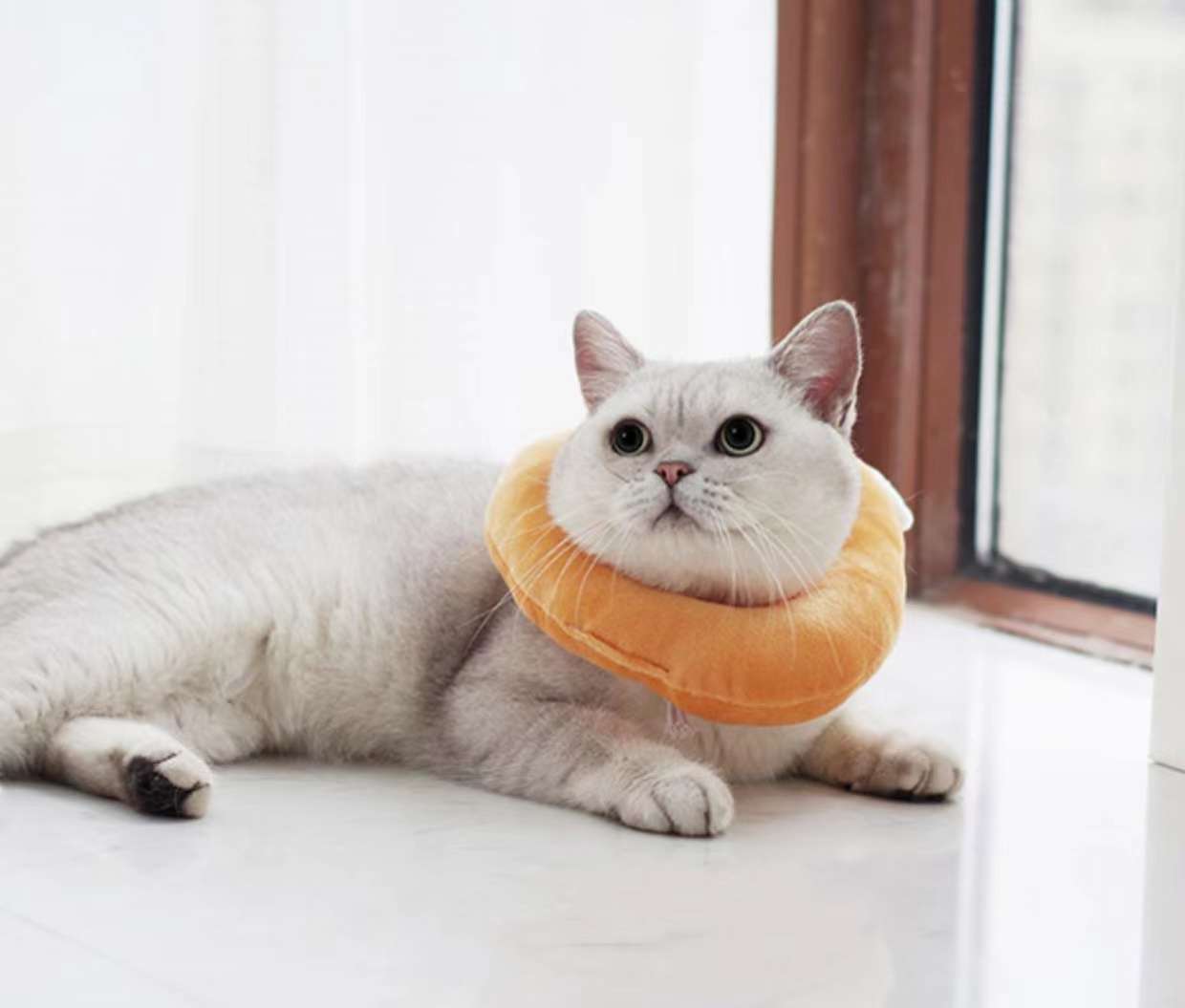 猫服 猫 エリザベスカラー | かわいい動物型メッシュエリザベスカラー